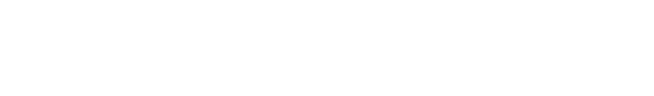 Torc Infotech
